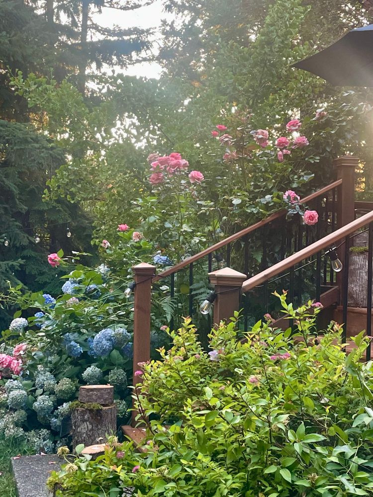 A lush garden with bushes, pink and blue flowers, a wooden staircase, and evergreen trees in the background.
