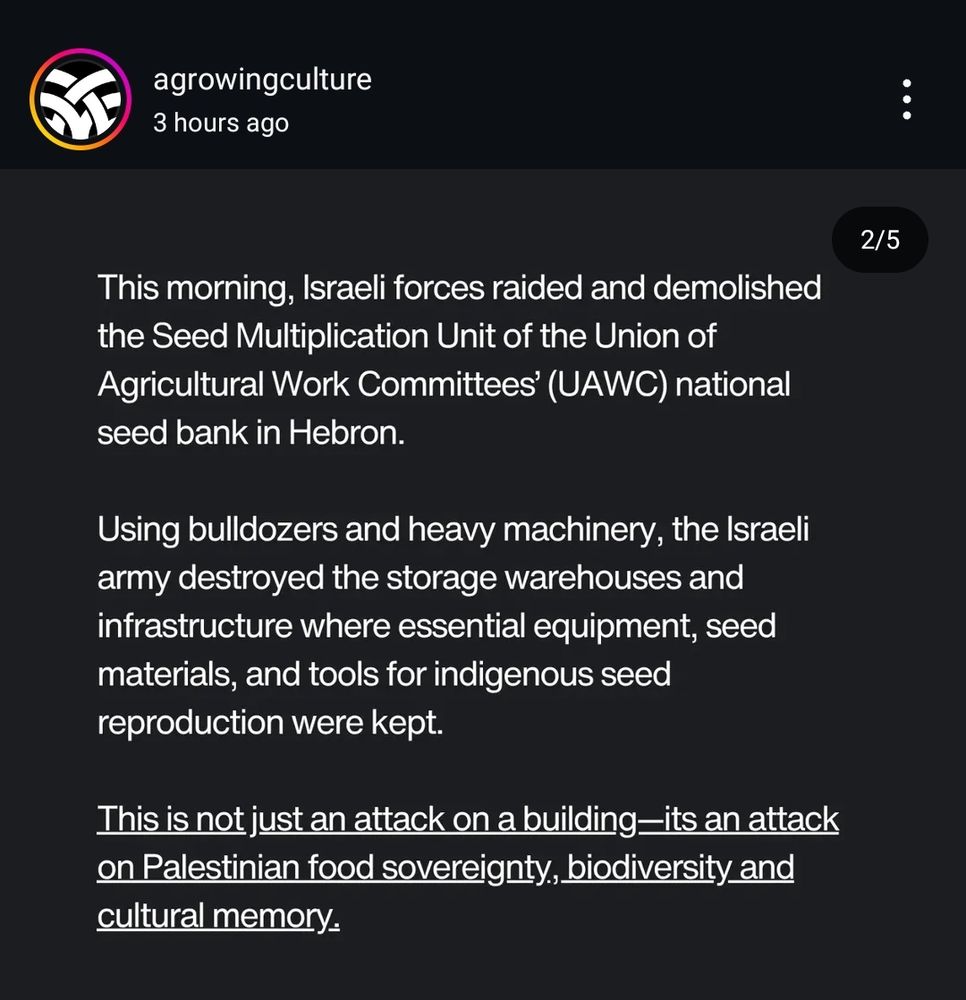 agrowingculture

3 hours ago

2/5

This morning, Israeli forces raided and demolished the Seed Multiplication Unit of the Union of Agricultural Work Committees' (UAWC) national seed bank in Hebron.

Using bulldozers and heavy machinery, the Israeli army destroyed the storage warehouses and infrastructure where essential equipment, seed materials, and tools for indigenous seed reproduction were kept.

This is not just an attack on a building-its an attack on Palestinian food sovereignty, biodiversity and cultural memory.