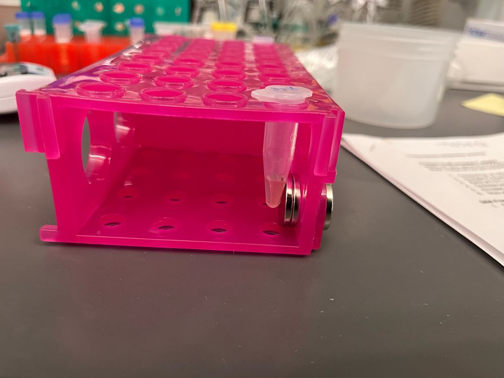 Tube rack with magnets for bead purifying 