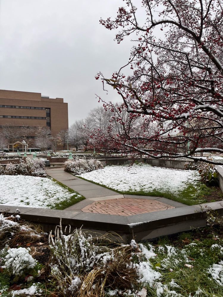 MSU hort gardens in snow 