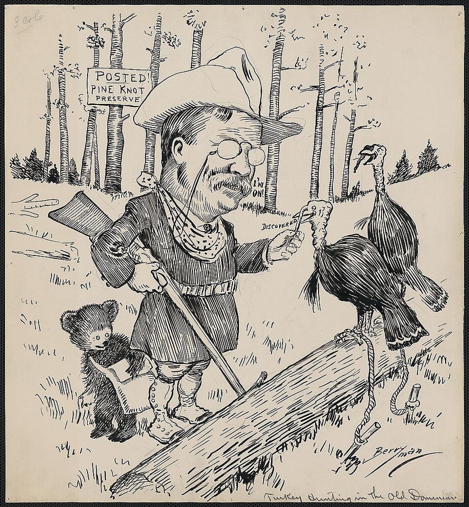A 1906 Berryman cartoon shows Theodore Roosevelt, in hunting gear, petting two turkeys that have been tied to pegs in the ground. The President says, "I'm on!" The turkeys say, "Discovered." The cartoonist's signature small bear looks on. A sign on a tree reads "Posted! Pine Knot Preserve." In November 1906, President Roosevelt went hunting at his lodge, Pine Knot, hoping to shoot a wild turkey for the first time. His neighbors played a joke on him, turning a flock of domestic turkeys into the area, but the President discovered the trick. The joke was inspired by the famous occasion when the President refused to shoot a small bear that had been tied to a tree. Berryman published a cartoon the next day in the Washington Post, showing Roosevelt defending the bear. The cartoon became the stuff of legend, the teddy bear was born, and Berryman used the small bear in his cartoons throughout his career.
