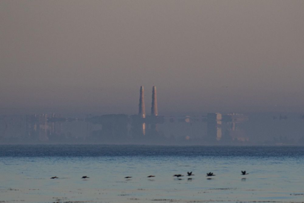 Photograph looking across the sea.  Foreground has a line of cormorants flying to the right.  In the distance, a Fata Mogana illusion showing the old power plant stacks and Elkhorn Slough area superimposed twice, once above the other, is visbible.  A peachy glow of twilight fills the sky.