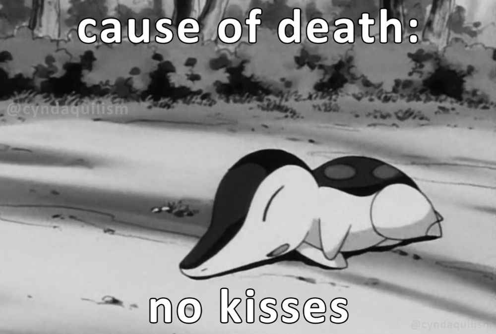Cyndaquil that fainted, in a black and white picture, because he had no kisses 