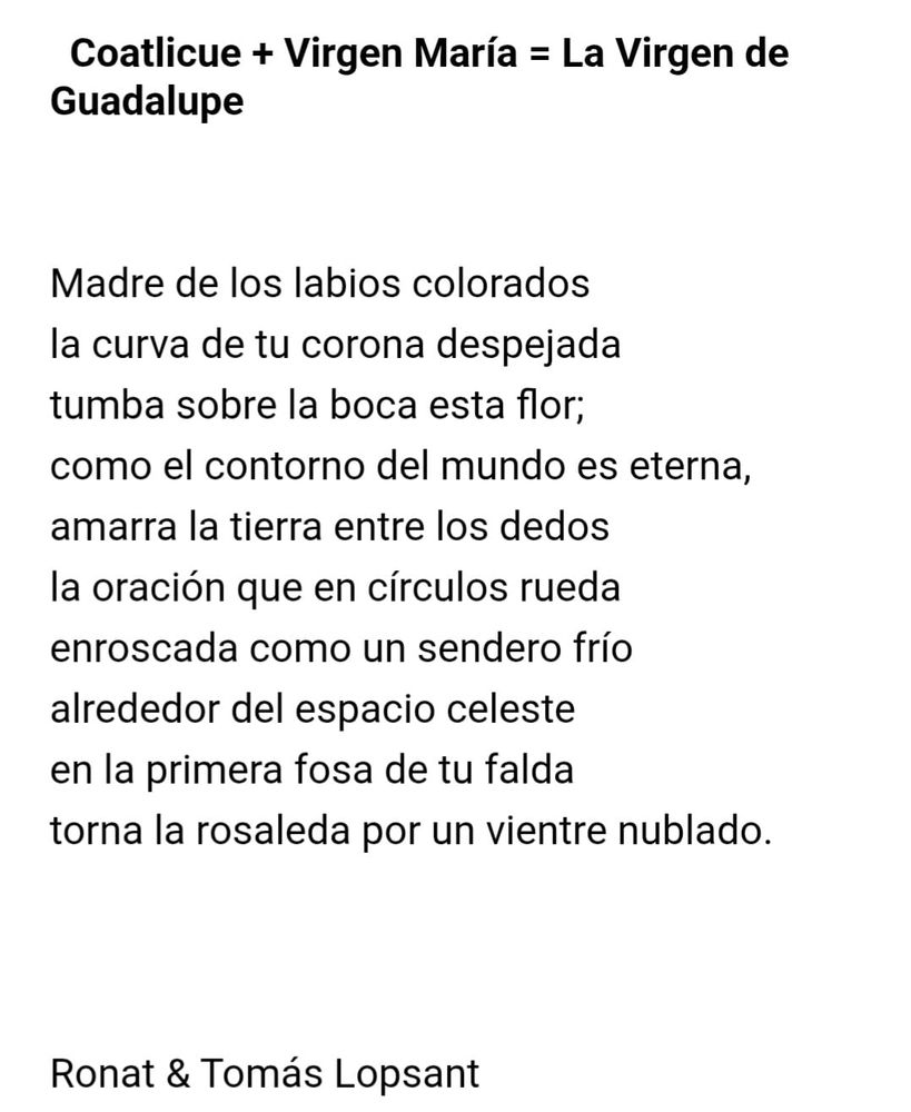 Coatlicue + Virgen María = La Virgen de Guadalupe

Madre de los labios colorados
la curva de to corona despejada
tumba sobre la boca esta flor;
como el contorno del mundo es eterna,
amarra la tierra entre los dedos
la oración que en círculos rueda
enroscada como un sendero frío
alrededor del espacio celeste
en la primera fosa de tu falda
torna la rosaleda por un vientre nublado.

-Ronat & Tomás Lópsant 