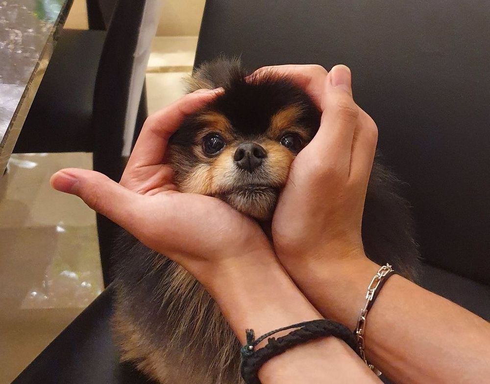 A photo of Kim Yeontan sitting on a chair. Kim Taehyung’s hands are cradling his face in a heart shape. 
