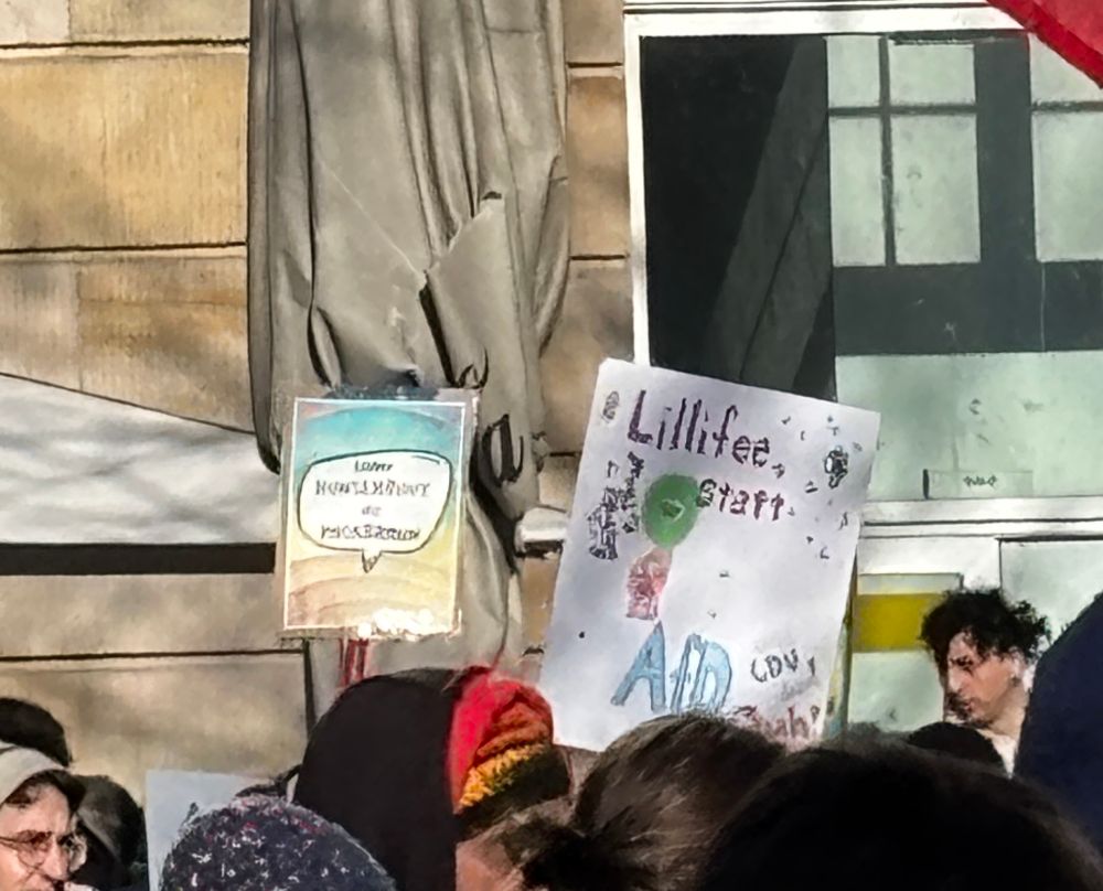 Man sieht ein Plakat mit der Aufschrift: Lillifee statt AfD“