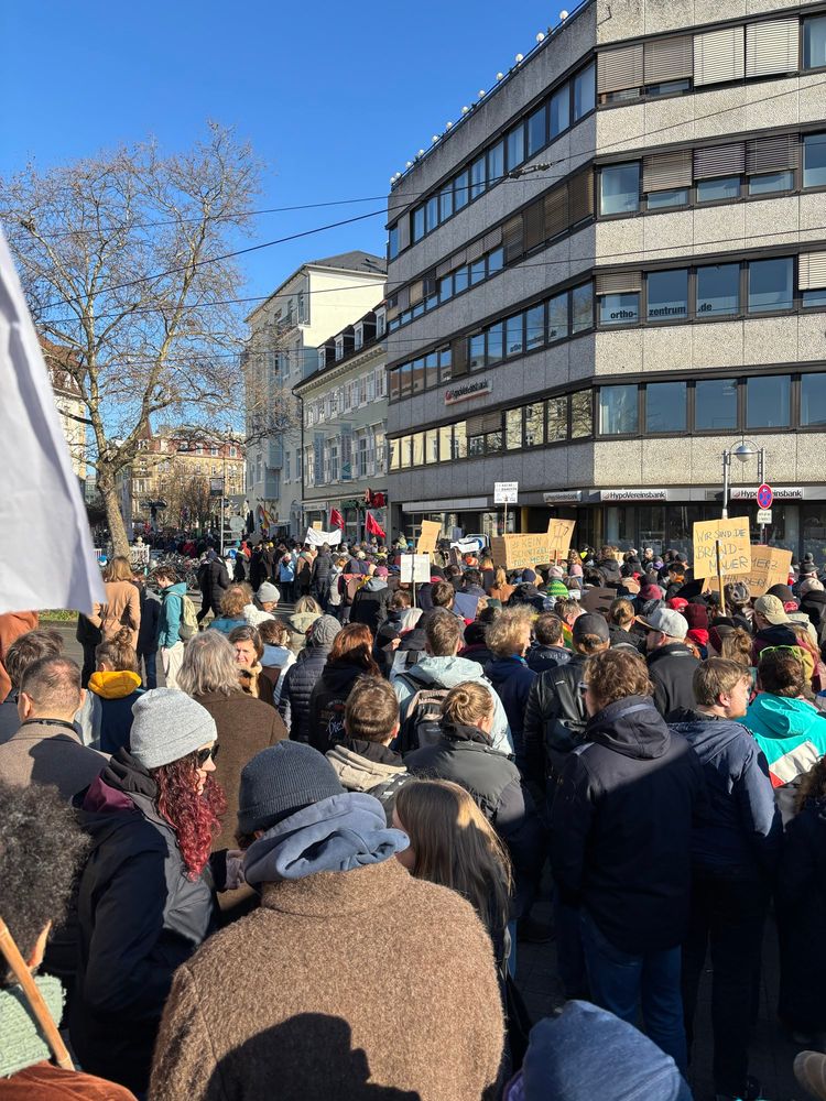 Man sieh ein Meer an Demonstranten.