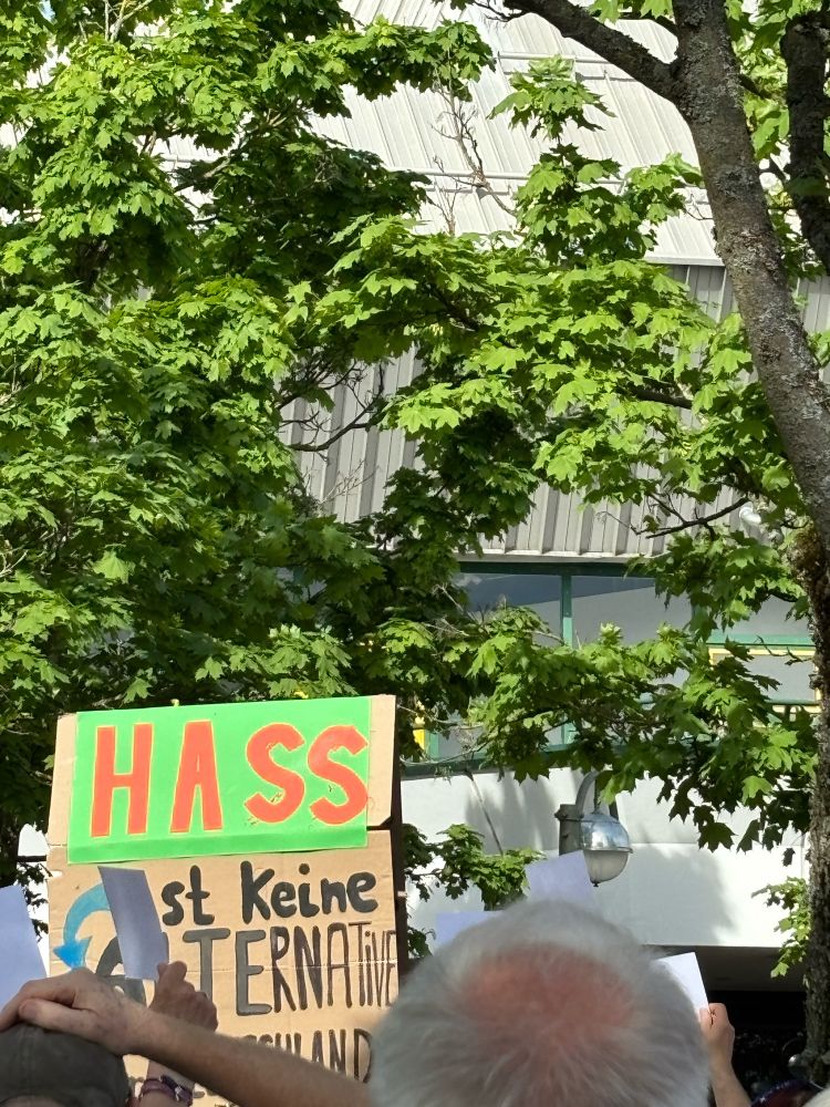 Man sieht ein Demoschild mit der Ausschrift: Hass ist keine Alternative.