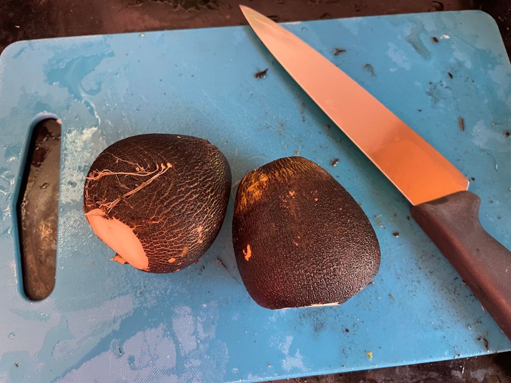 Two large black radishes, topped and tailed, resting on a wet, blue plastic cutting board next to a kitchen knife.