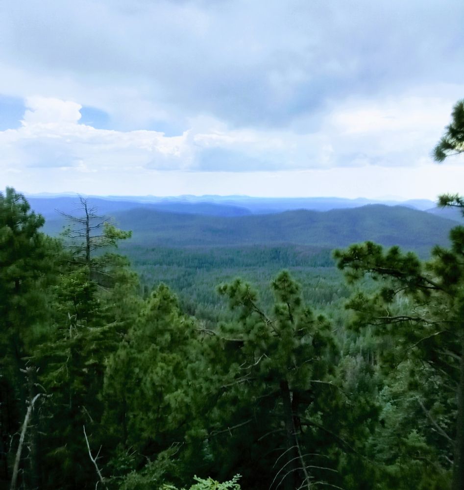 A pine-filled mountain top with a view of distant blue mountains and a cloudy sky (Mogollon Rim, AZ)
