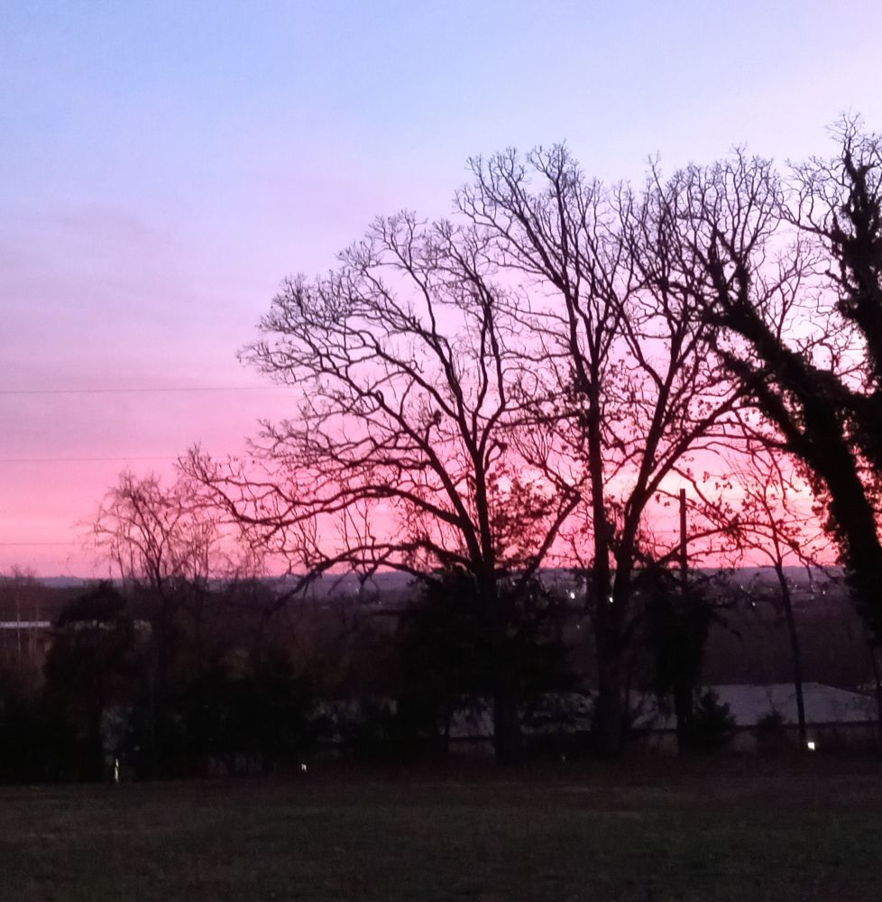 A pink-orange sunset glow with bare winter branches outlined and hills in the distance 