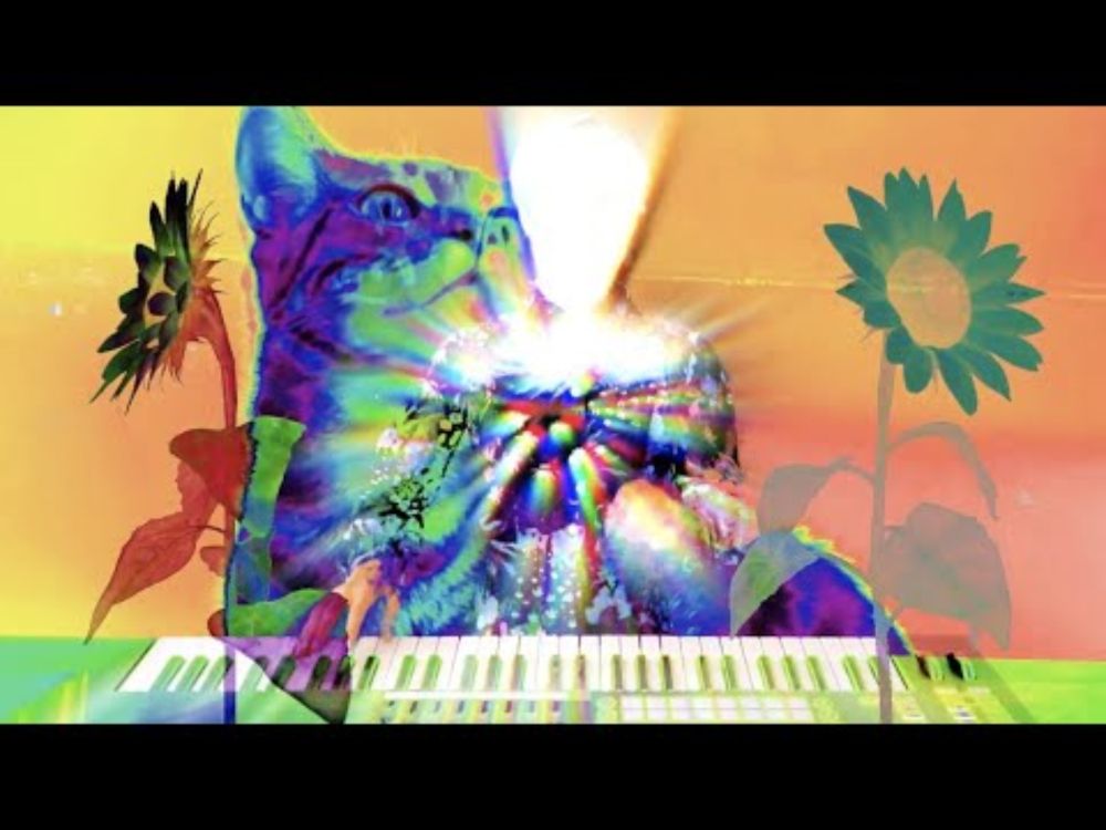 COCOJOEY'S THEME (OFFICIAL VIDEO)