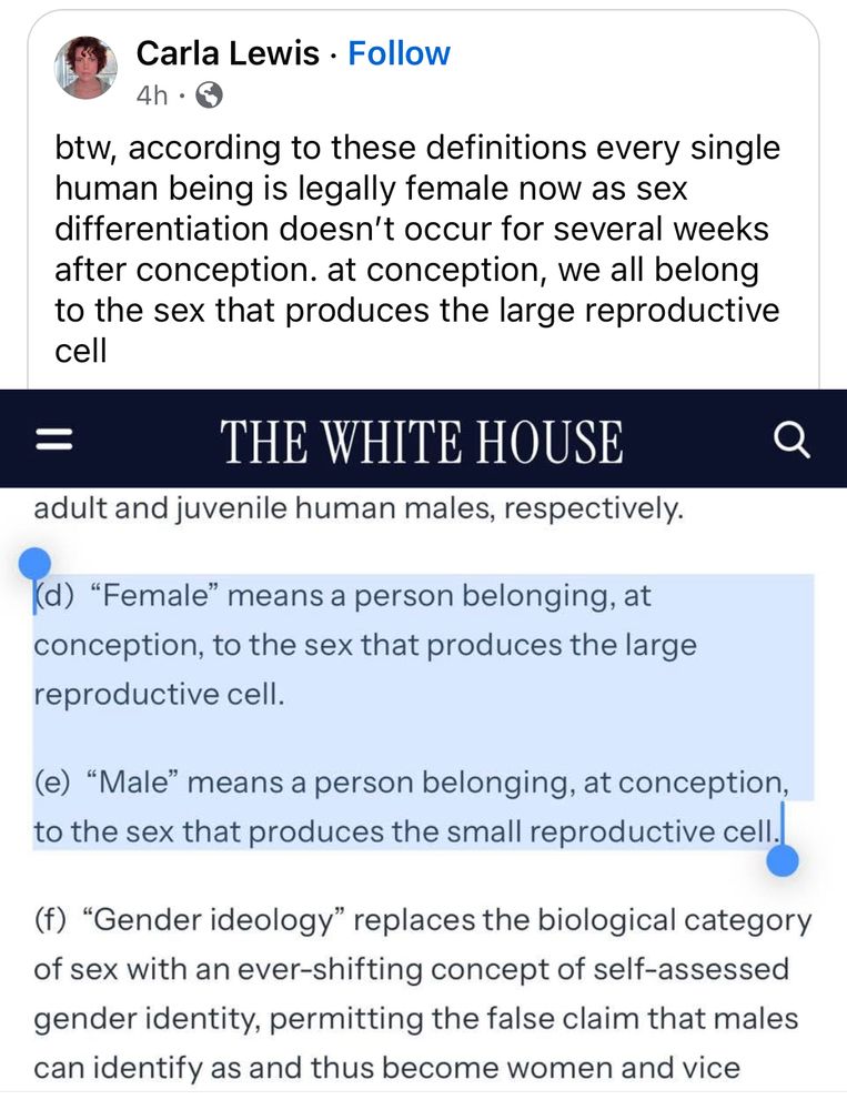 screenshot of Trump's exec order imposing the gender binary, with a caption stating "btw, according to these definitions every single human being is legally female now as sex differentiation doesn’t occur for several weeks after conception. at conception, we all belong to the sex that produces the large reproductive cell"