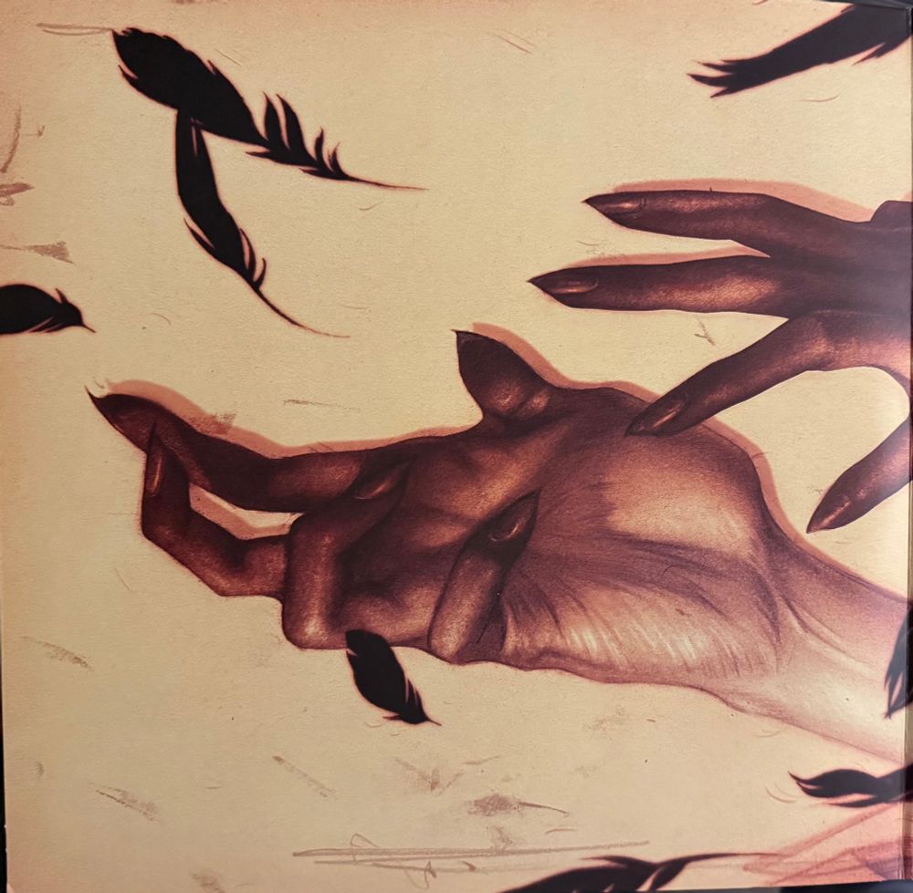 Black Swan score - Clint Mansell - Vinyl interior 