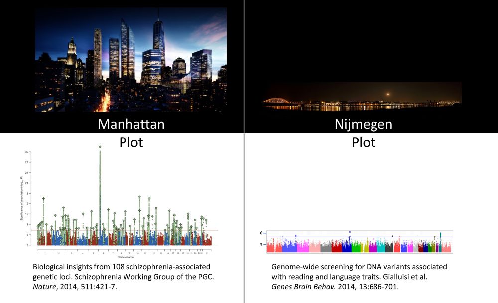 Contrasting photographs of the night-time skylines of Manhattan (left) and Nijmegen (right), with matching genome-wide association plots underneath each.