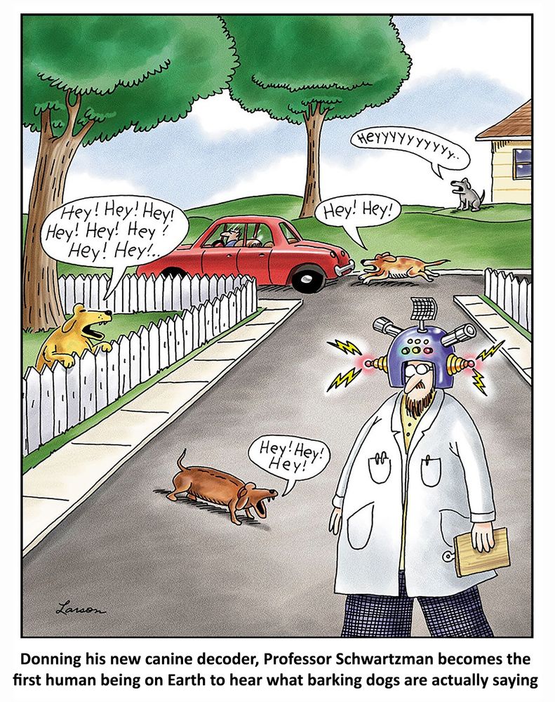 Single-panel cartoon drawn by Gary Larson. Standing in the street is a bearded man with glasses, white coat and a clipboard. He is wearing a helmet with flashing coloured buttons and multiple different types of antennae. In the street there are also several dogs, including one rearing up at a fence and another chasing a car. Speech bubbles show the dogs are saying "Hey! Hey! Hey!", "Heyyyyyyy", and "Hey! Hey! Hey! Hey! Hey! Hey! Hey! Hey!".

Caption underneath: Donning his new canine decoder, Professor Schwartzman becomes the first human being on Earth to hear what barking dogs are actually saying.