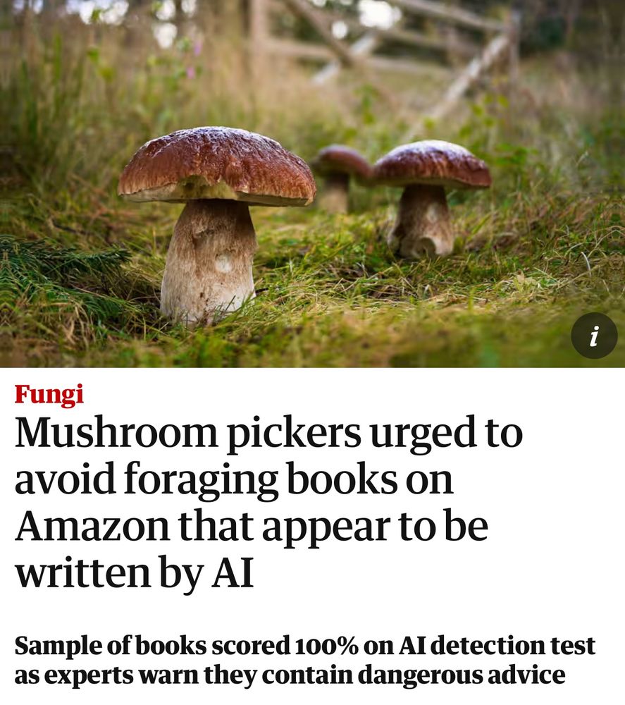 Headline on The Guardian: “Mushroom pickers urged to avoid foraging books on Amazon that appear to be written by AI”
