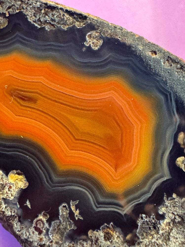 A macro photo of an agate with bright orange, yellow, blue and white banding