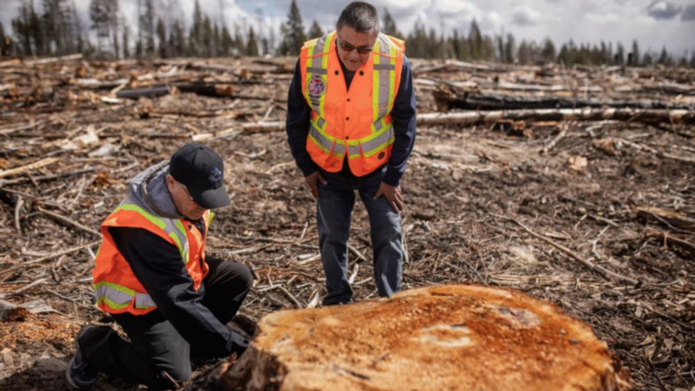 Ottawa is offering $45.7 million for projects in B.C. and across Canada that advance knowledge about wildfires.