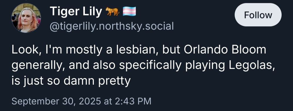 From tigerlily.northsky.social

Look, I'm mostly a lesbian, but Orlando Bloom generally, and also specifically playing Legolas, is just so damn pretty