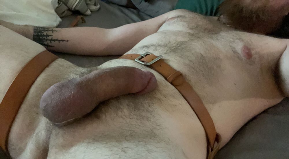 Front view in harness, codpiece removed, erection showing