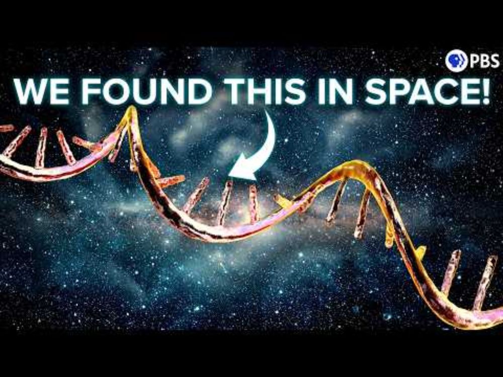 Your DNA Is (Almost Certainly) From Outer Space