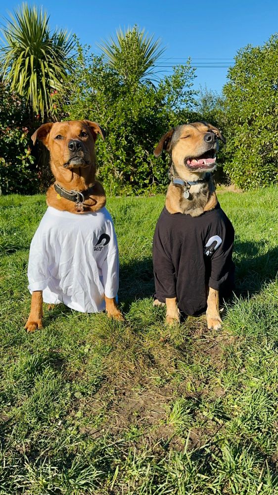 Two dogs (Zig and Reef) sitting in a yard wearing GATE tee shirts.