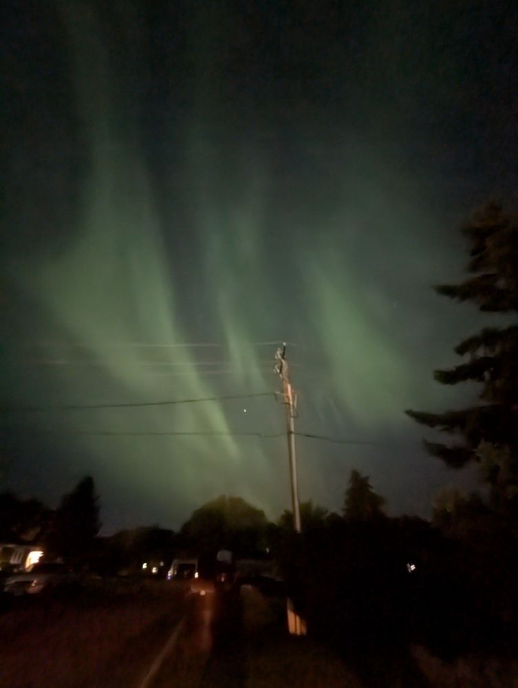 Parallel vertical streams of pale green northern lights with a telephone pole in front of it
