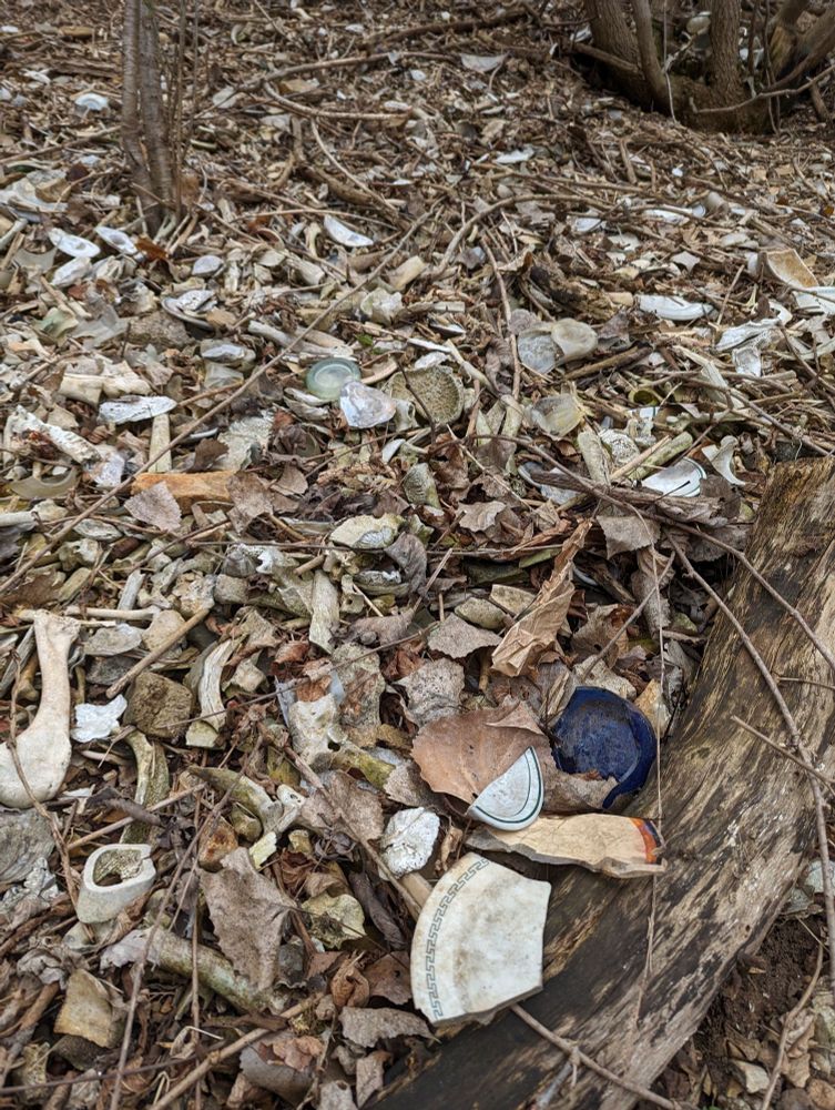 An old pile of broken bones, plates, shells, and sticks