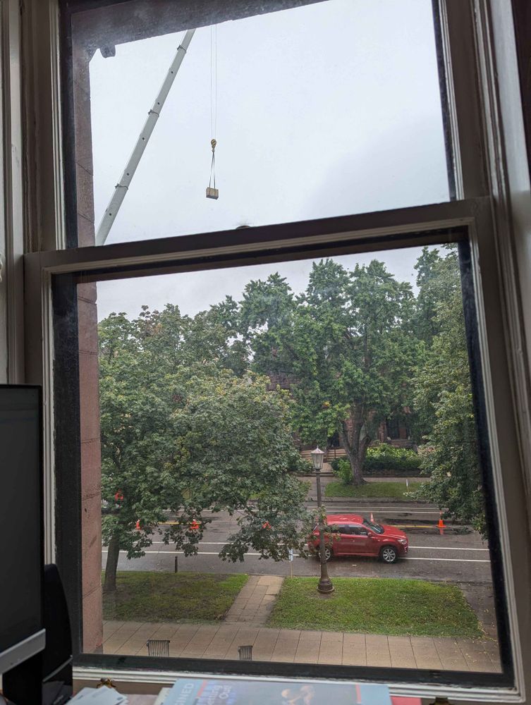 Looking out the window at a tree lined street. There are cones blocking off half the street. A crane arm towers over the trees twice their height. It has lifted a medium size cardboard box into the air.