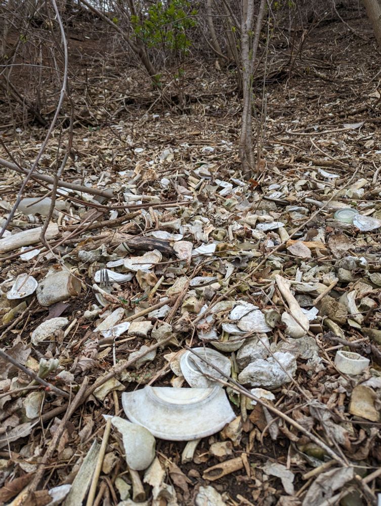 Looking uphill at the midden, lots of broken plate and bones and shellfish shells