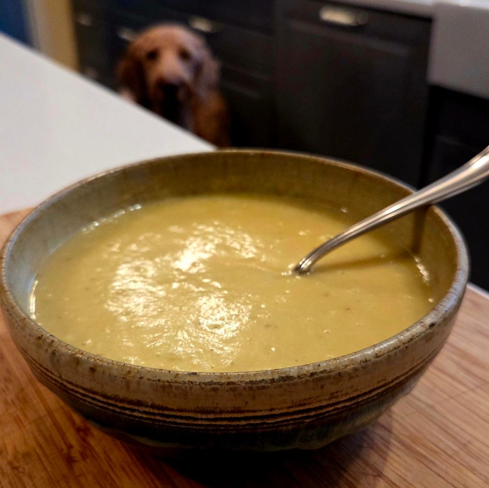 A pottery bowl holds potato leek soup and a spoon. Goldendoodle looks on from the distance, as usual.