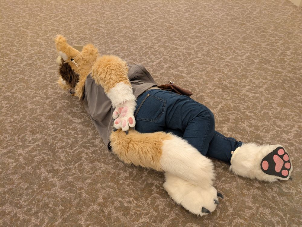 A cat fursuiter lying on their side on the floor, arm behind their back, taken from behind. 