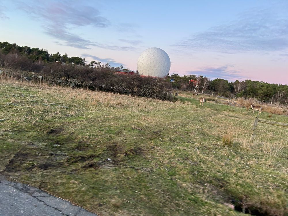 A couple deer in the middle distance watch me as I go by. The ray dome that protects the 20 m looks like a giant golf ball in the background. The picture is askew because I took it from the bike as I ride by. Couldn’t stop because the deer would scatter.  The sky begins is light blue and pink. 