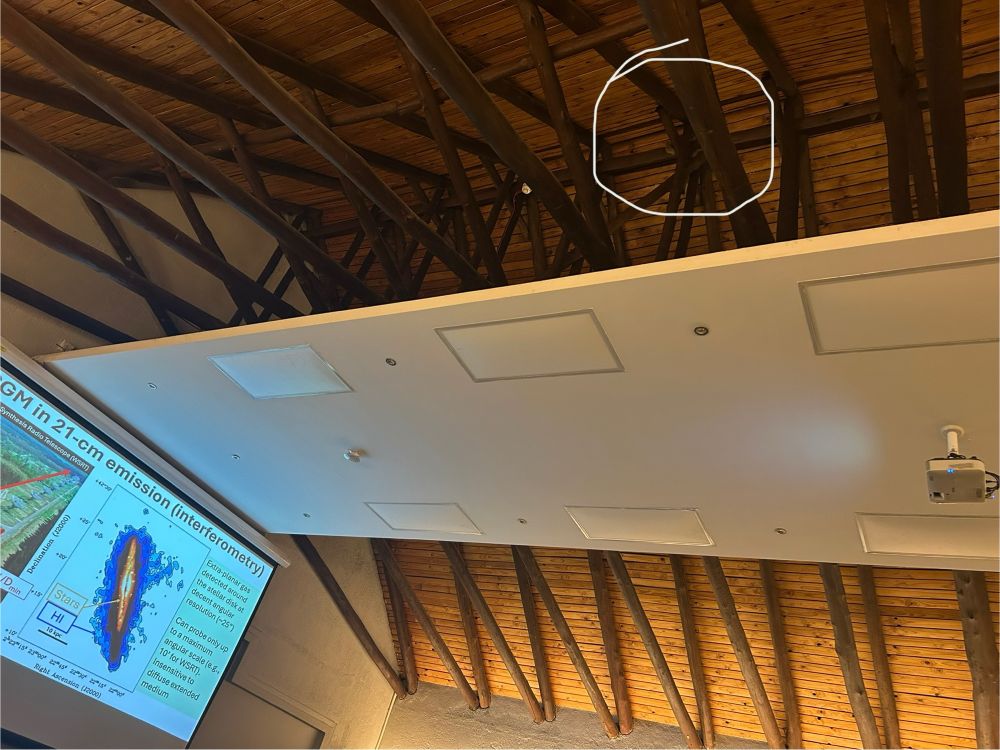 Picture of wood beams crisscrossing the underside of the roof in a conference room. The photo is at a jaunty angle, catching the edge of a tall slide, and the ceiling below the beams where the projector is mounted. A white circle is drawn to indicate the presence of a fluffy gray tail among the beams. 