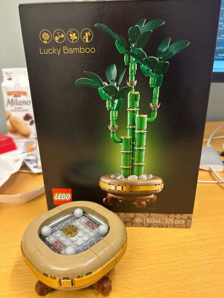 The base and pot of the Lucky Bamboo set sit in front of the Lego box picturing the final set. 