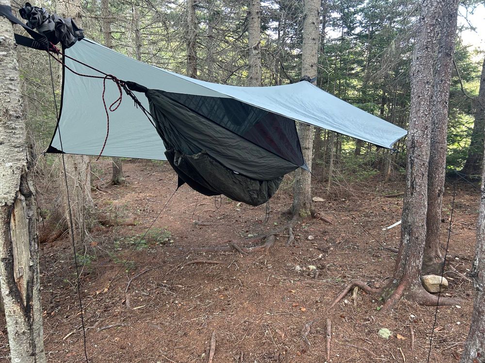 A campi n hammock is set up among trees. A hexagonal tarp stretches above it to protect it from the elements. 