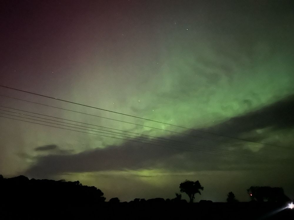 A night sky scape looking north/northwest: trees and power lines on the horizon. Above a dark narrow cloud runs horizontal across the image, but green (right) and purple (left) streaks radiate above and below it.