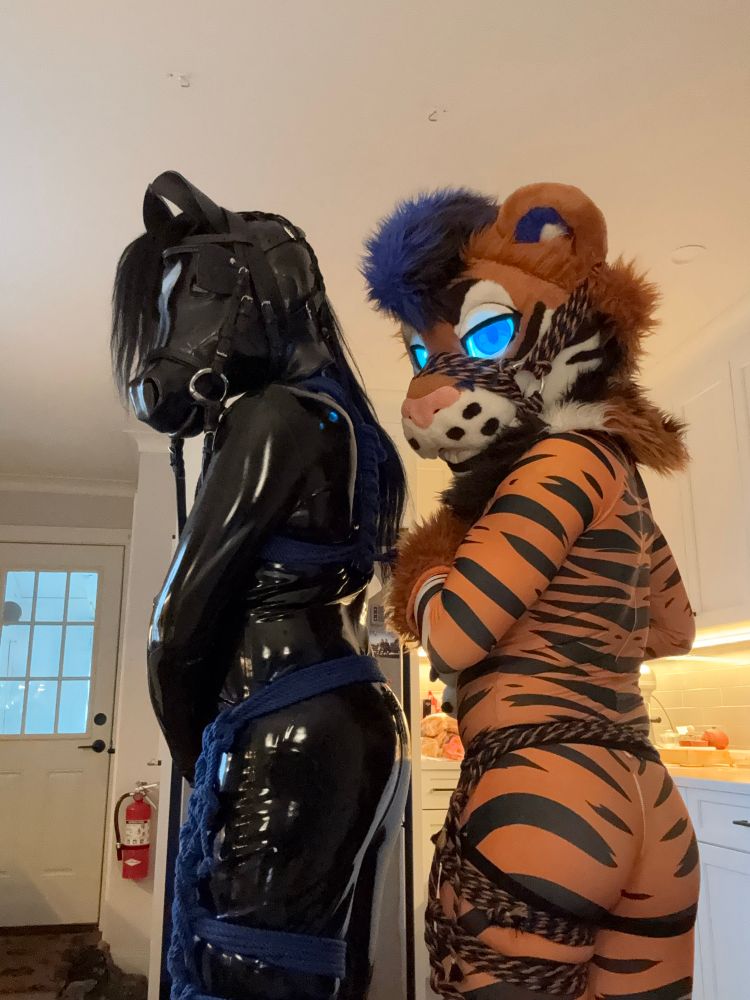 Chip the pony and Kira the tiger in rope bondage 