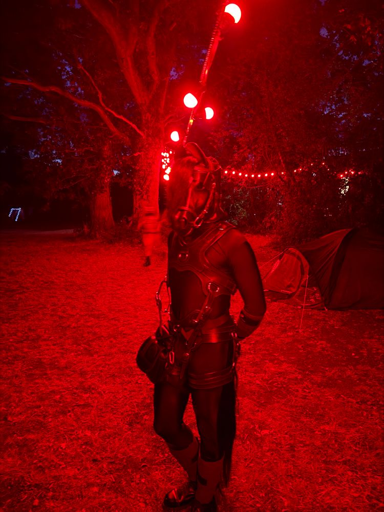 Pony posing under a string of red lights outside camp ⛺️ 