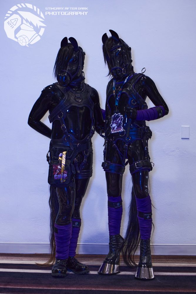 Two latex ponies, Velvet & Chip pose together at the FWA2025 pony meetup 🐴