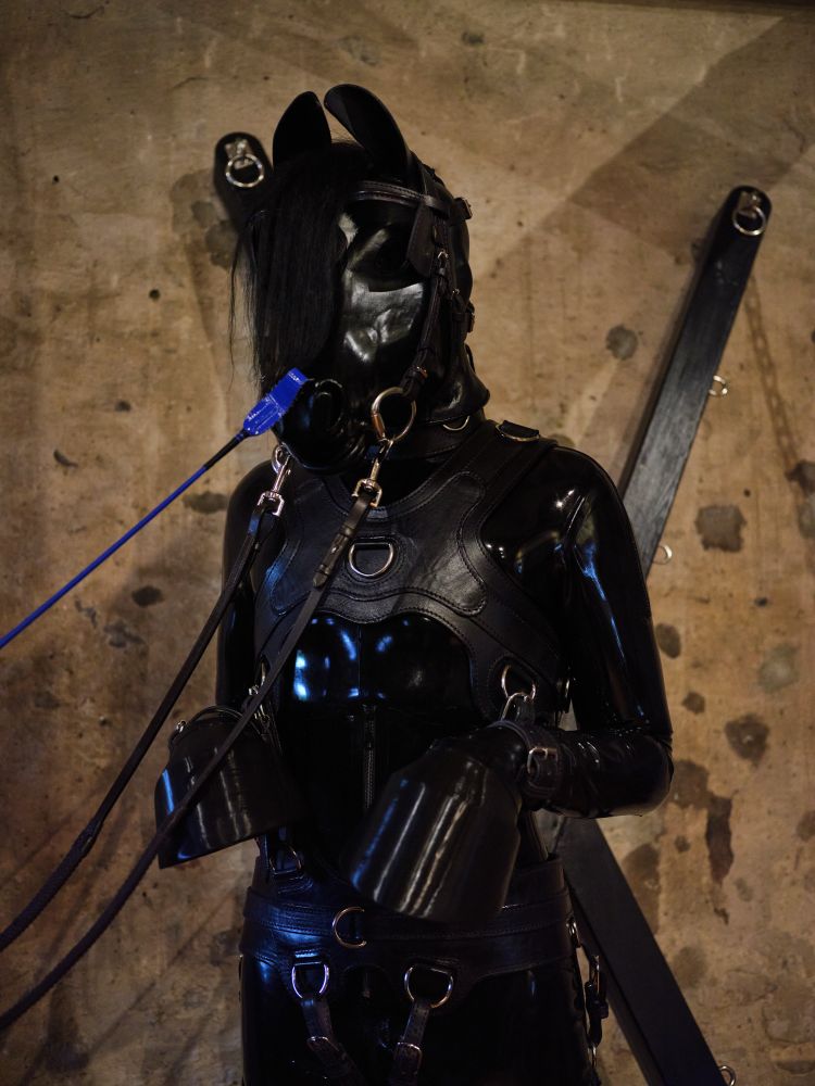 Chip sniffing at the end of his trainer’s crop at pony camp Denmark 