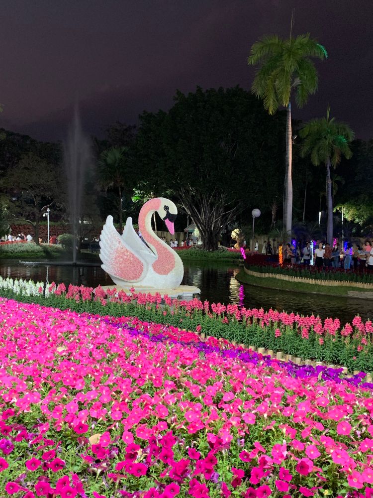 Pink flowers with flower swan in pond