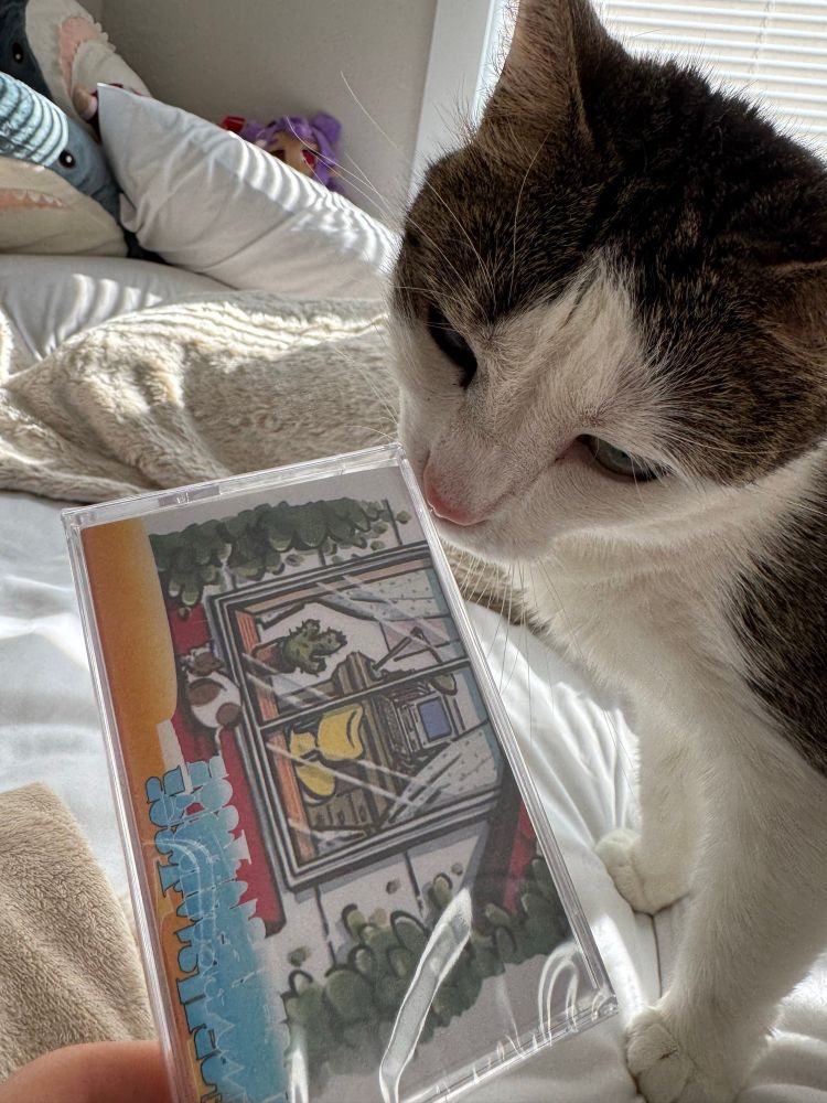A shorthair calico cat investigating a cassette tape of Internet Club's "FORMAT BLUE".