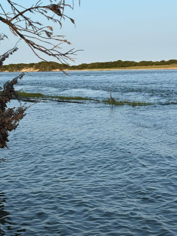 A very shallow river leading out into the ocean.