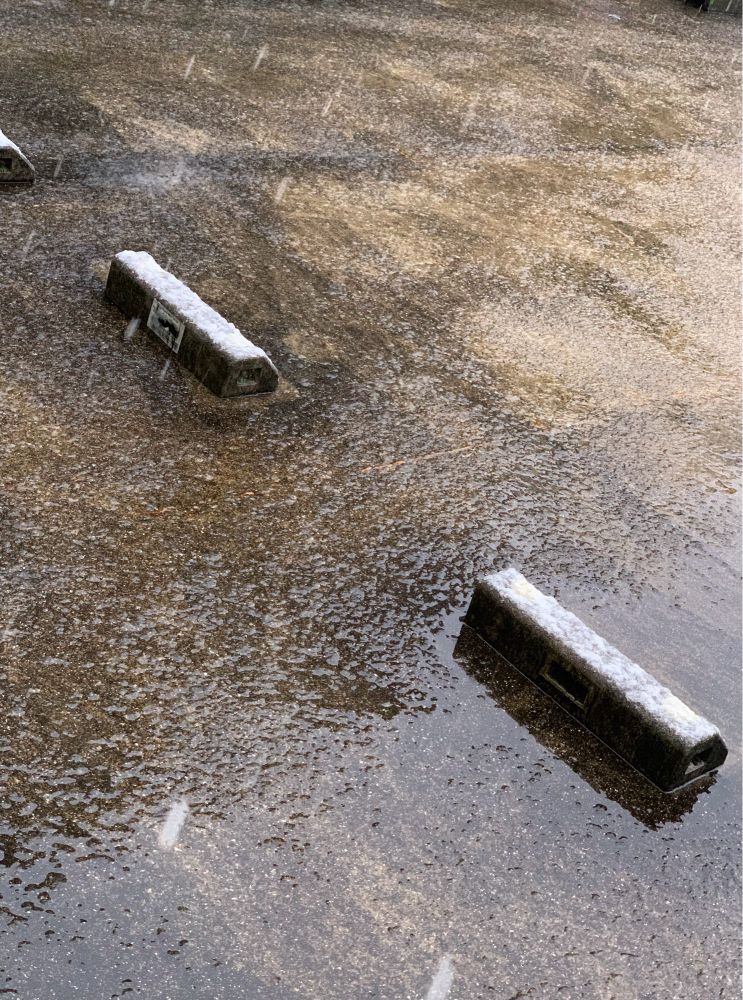 雪が降り出した写真です。