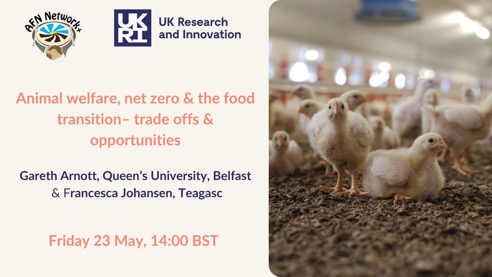 Animal welfare, net zero & the food transition - trade offs and opportunities
Gareth Arnott, Queen's University Belfast
Francesca Johansen, Teagasc
Friday 23 May 14:00 BST