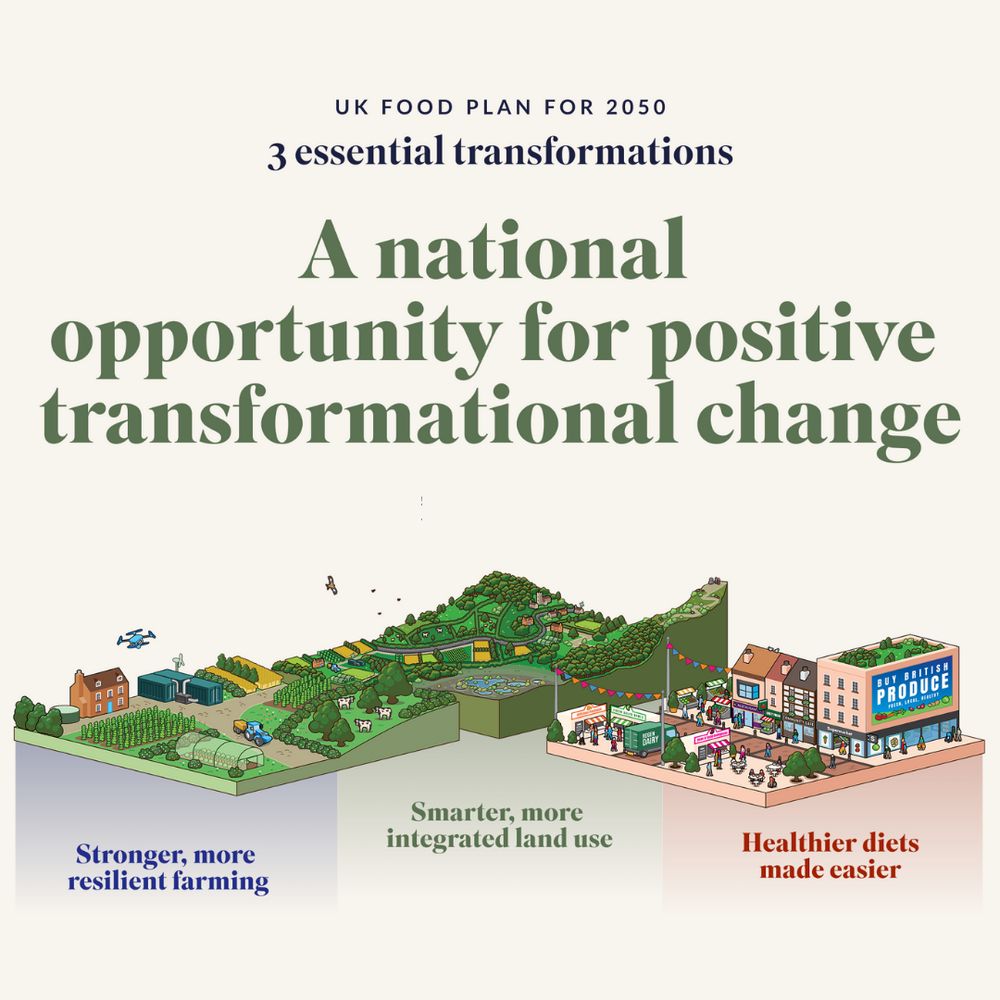 The title of the image is A national opportunity for positive transformational change. The image shows a vision for how land, diet and farming could be transformed by 2050, with  farming which is more mixed, low carbon tech and more resilient, land where farming and livestock are more integrated, peatlands restored and landscapes are being used for multiple purposes. And diets where people are shopping and fruit and green veg is more accessible. Text on the image shows that if these three transformations can be achieved, then they will result in benefits including billions saved in healthcare, strengthened national resilience, healthy food, improved water quality, new rural jobs and enhanced biodiversity.
