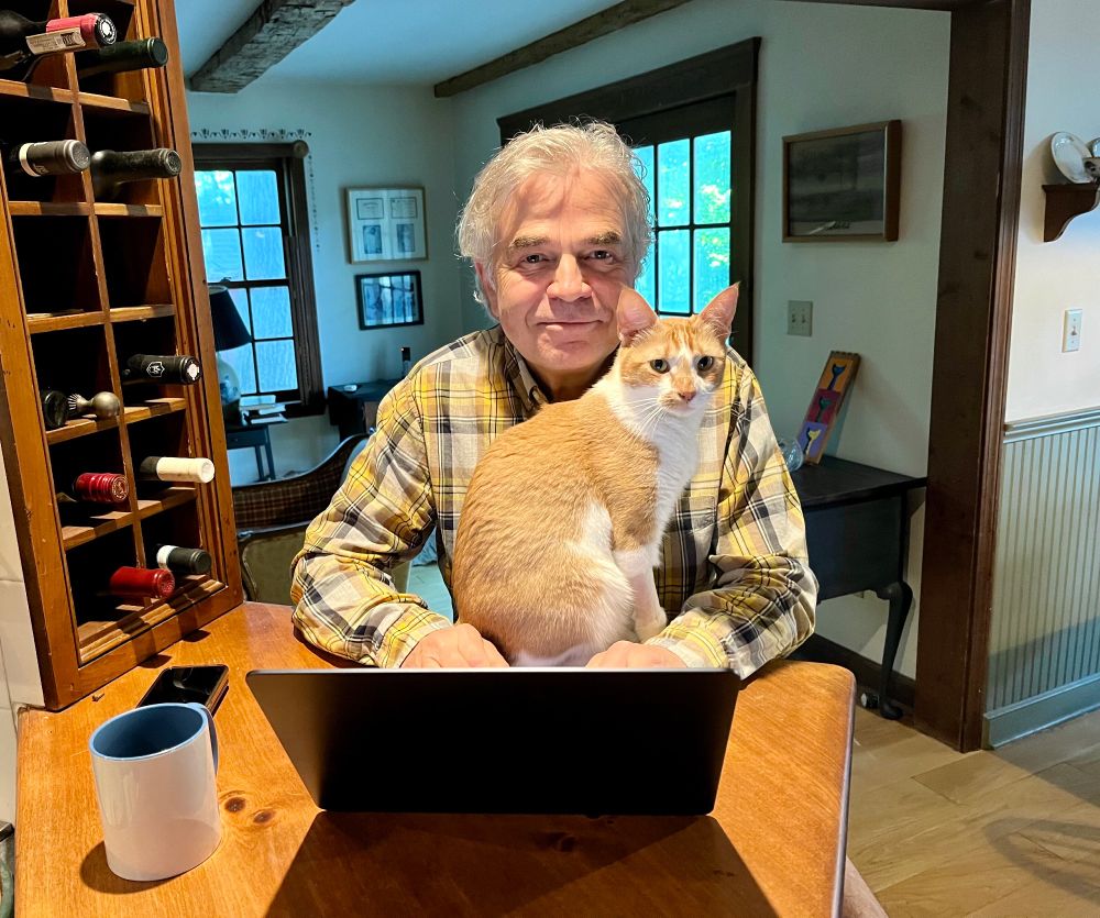 An orange tabby cat named Sunday celebrates her birthday with her best friend by finding “her" spot in front of his laptop as he tries to work. 