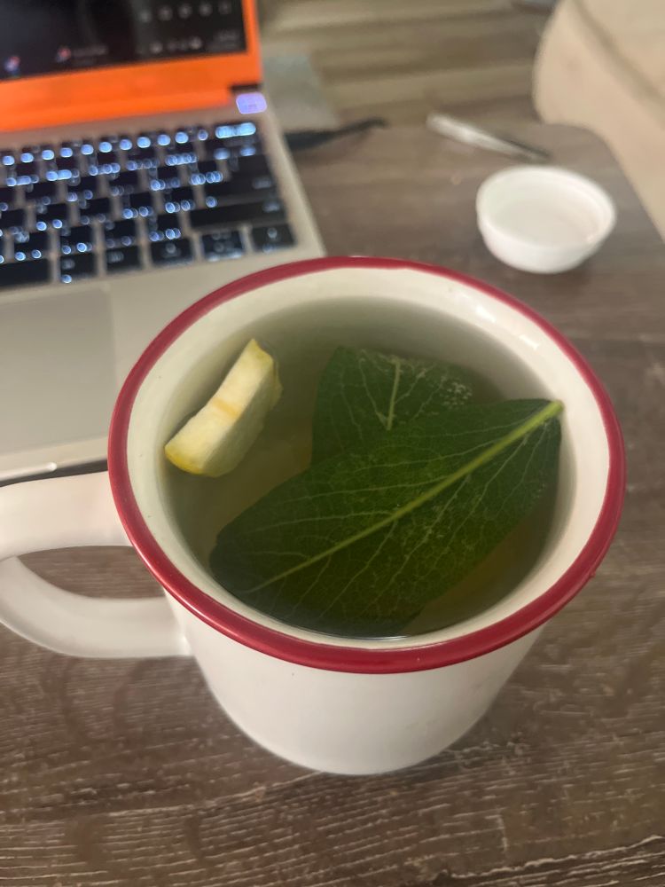 A white mug with a red rim has two sage leaves and a slice of lemon zest steeping in hot water.